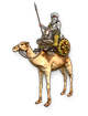 Camel Lancer